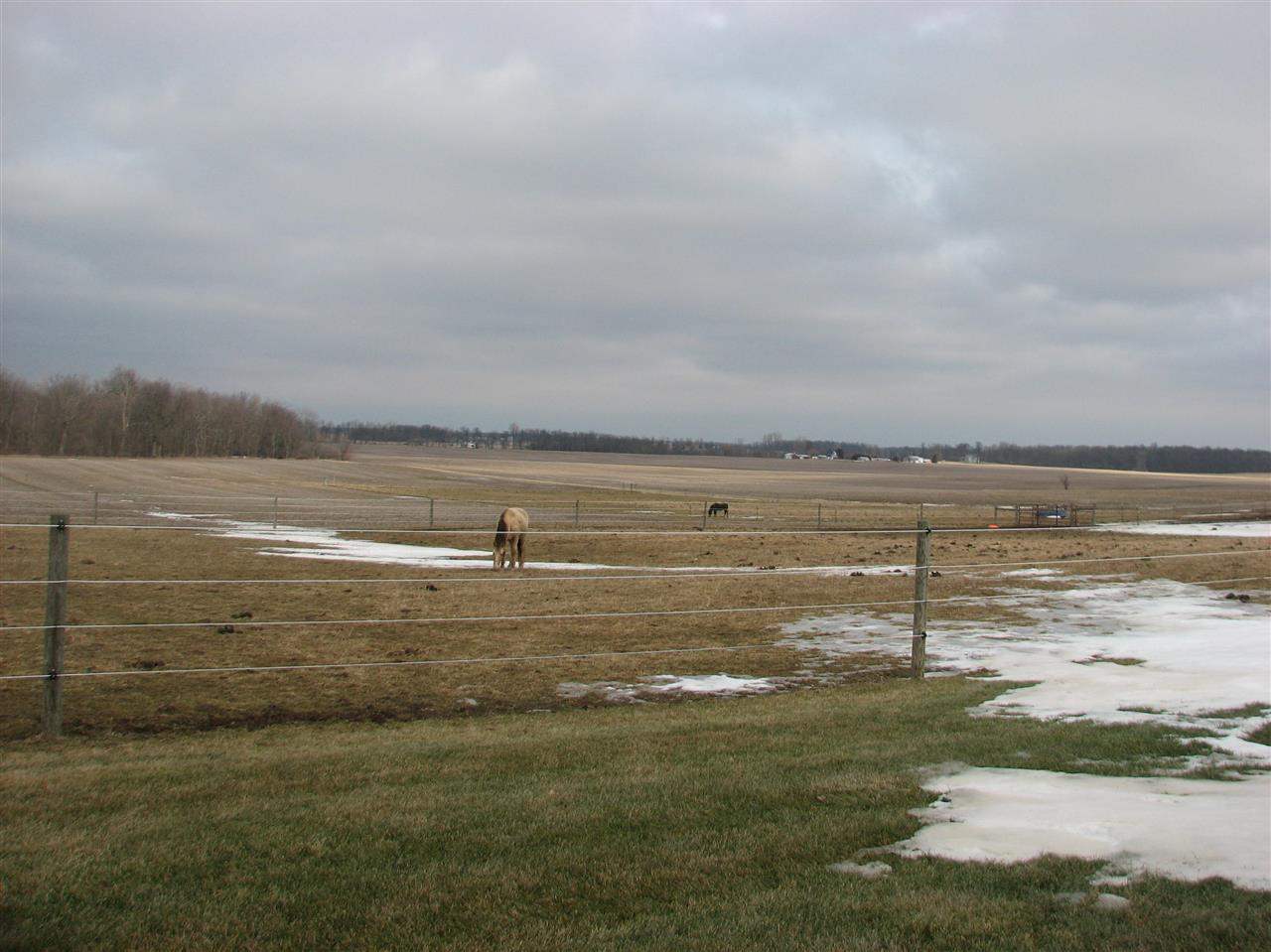 11300 E Orr Rd, Albany, IN 47320 photo 30
