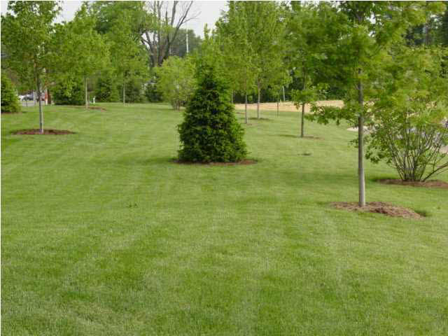 4824 Paddock Dr, Evansville, IN 47715 photo 20