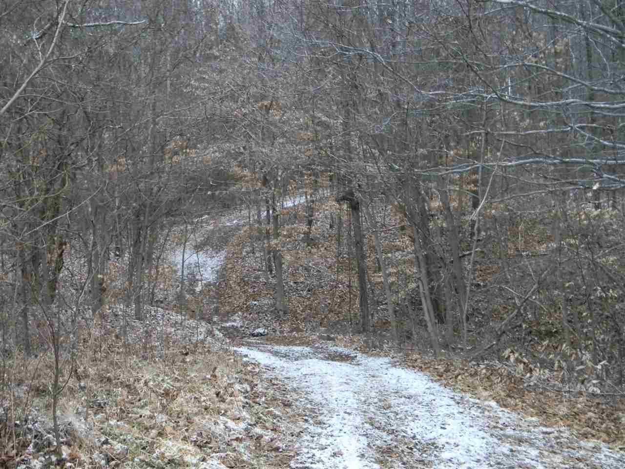 3369 Close Rd, Spencer, IN 47460 photo 16