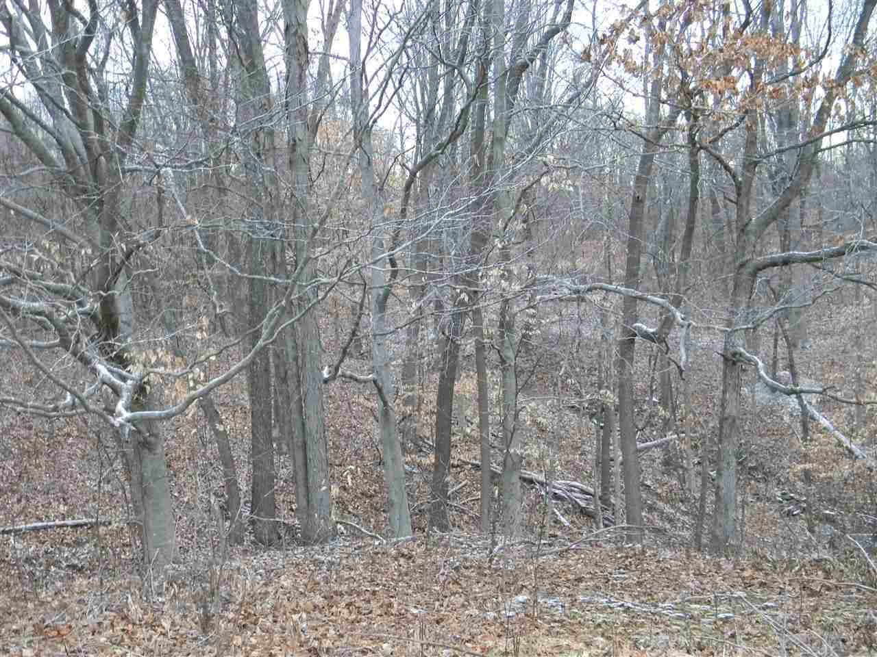 3369 Close Rd, Spencer, IN 47460 photo 15