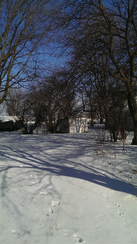 9690 N 1000 W, Williamsport, IN 47993 photo 4
