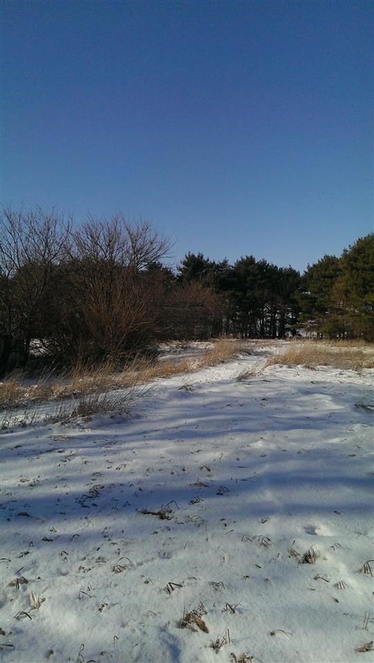 9690 N 1000 W, Williamsport, IN 47993 photo 2