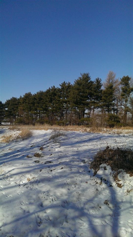 9690 N 1000 W, Williamsport, IN 47993 photo 3
