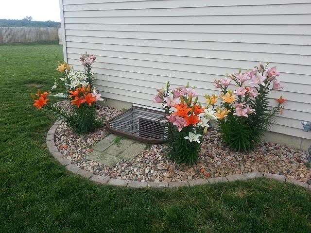 56873 Kimberly Dr, Elkhart, IN 46516 photo 23