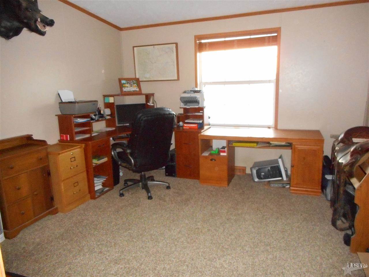 952 County Road 59, Hamilton, IN 46742 photo 24