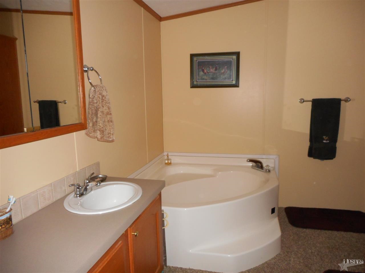 952 County Road 59, Hamilton, IN 46742 photo 22
