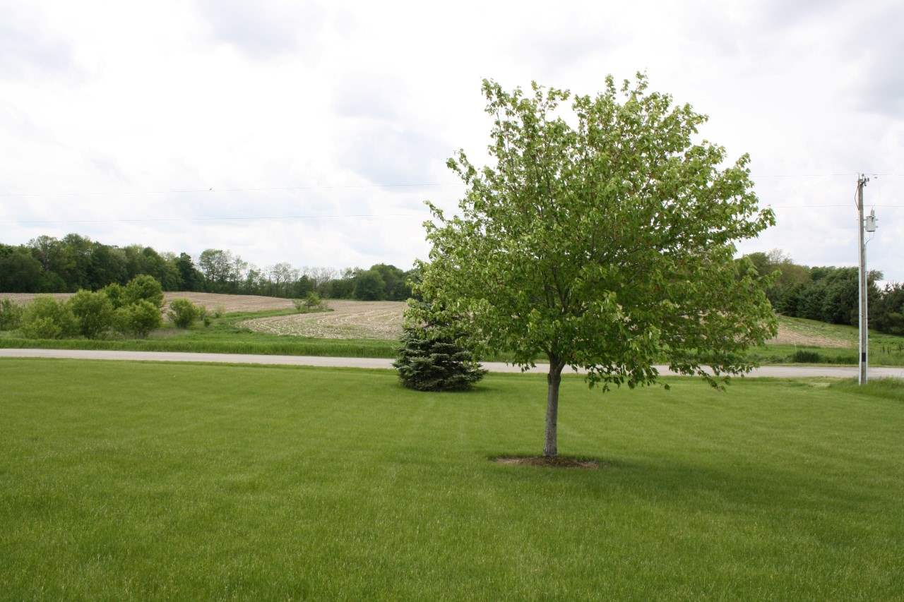 2359 County Road 19, Corunna, IN 46730 photo 21