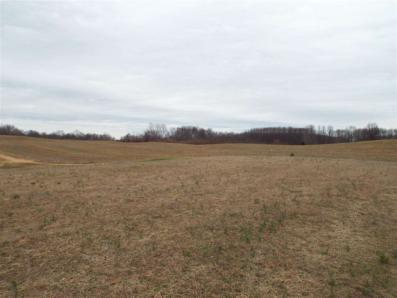 9925 Winyard Pl, Owensville, IN 47665 photo 22