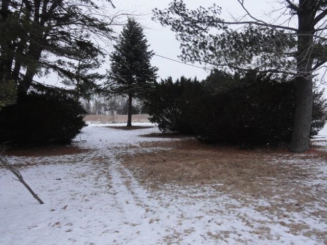 1559 S State Road 75, Bringhurst, IN 46913 photo 10