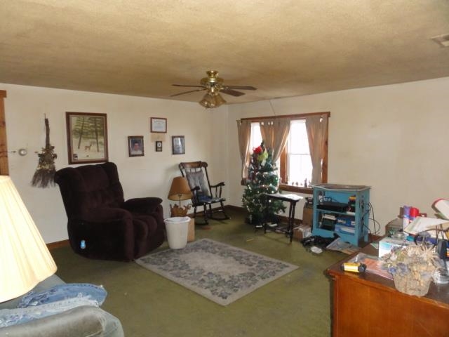 1559 S State Road 75, Bringhurst, IN 46913 photo 4