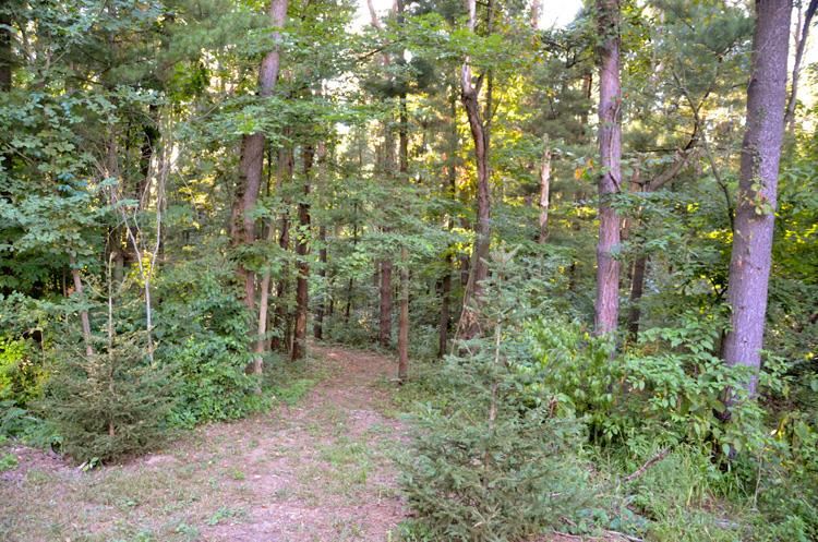 51000 Outer Dr, South Bend, IN 46628 photo 24