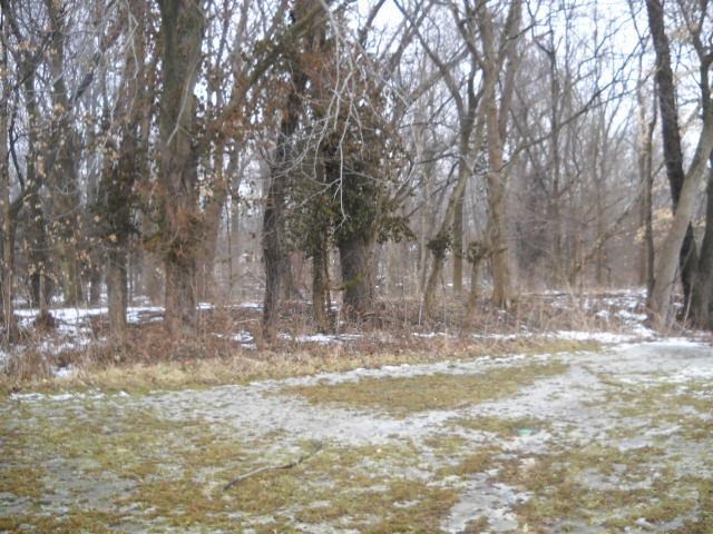 1019 W Cobblefield Dr, Rockport, IN 47635 photo 10