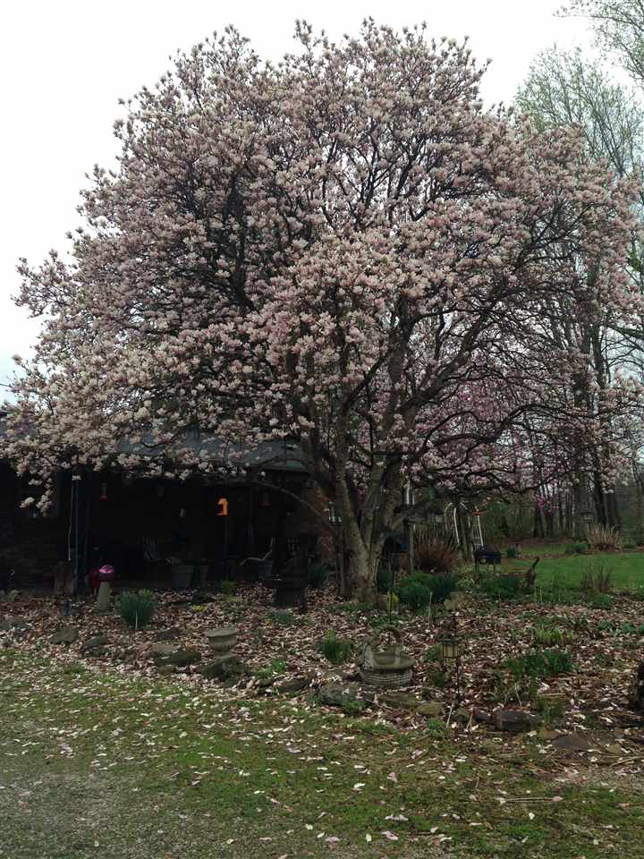 5314 Adel Rd, Spencer, IN 47460 photo 16