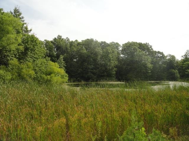 1565 Pea Ridge Rd, Spencer, IN 47460 photo 13