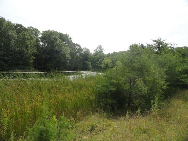 1565 Pea Ridge Rd, Spencer, IN 47460 photo 14