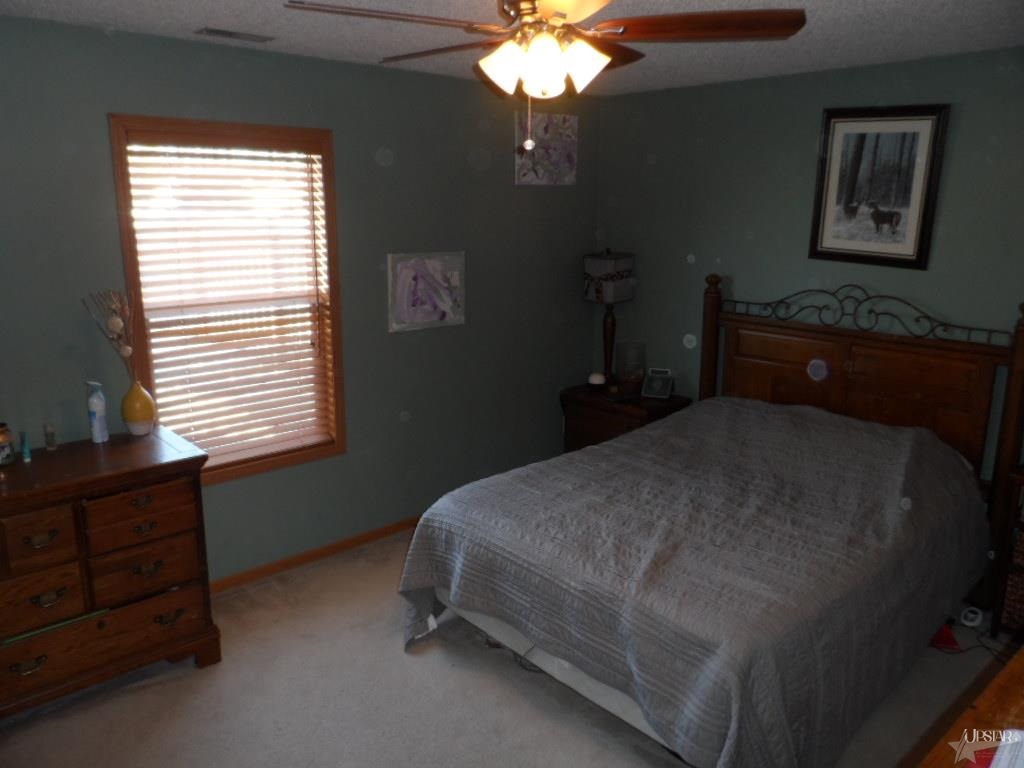 1200 Virginia Ln, Auburn, IN 46706 photo 22