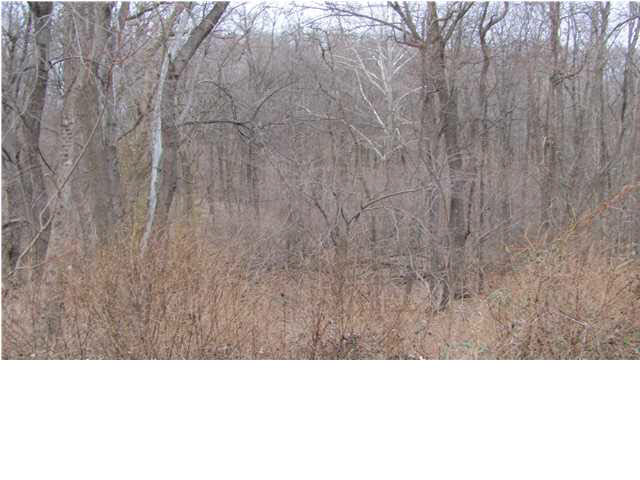 7600 Yankeetown Rd, Newburgh, IN 47630 photo 30