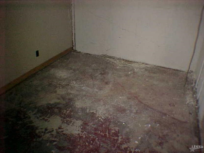 1050 S 350 W, Columbia City, IN 46725 photo 3