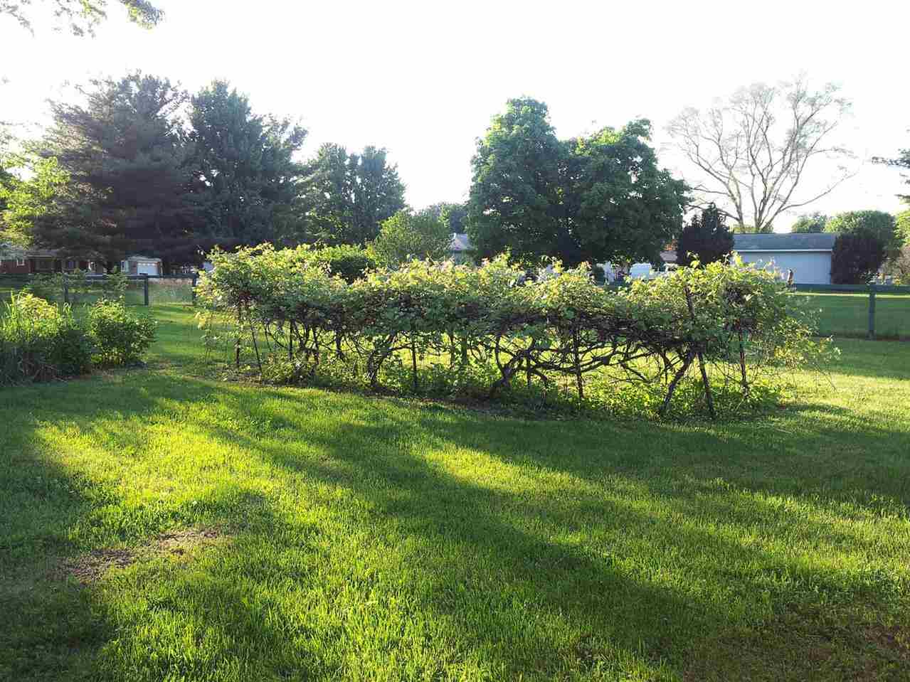 52290 Filbert Rd, Granger, IN 46530 photo 29