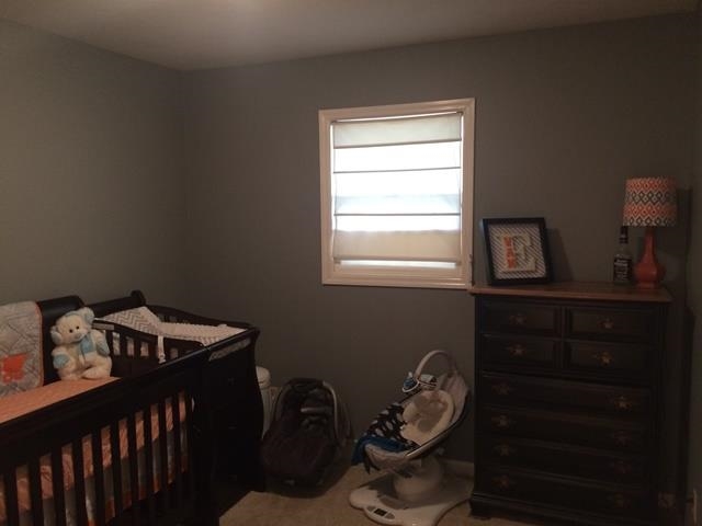5014 Youngs Rd, Poseyville, IN 47633 photo 11