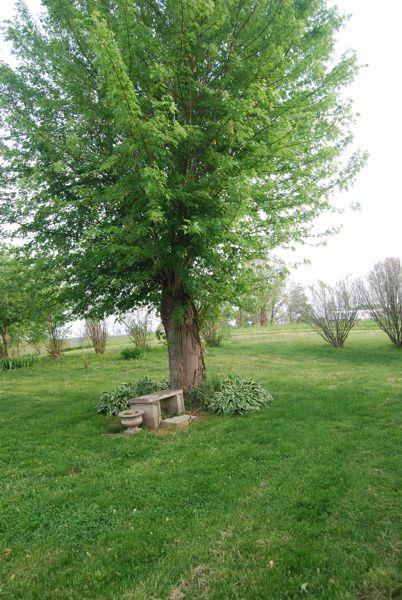 1382 Hollace Chastain Rd, Mitchell, IN 47446 photo 3