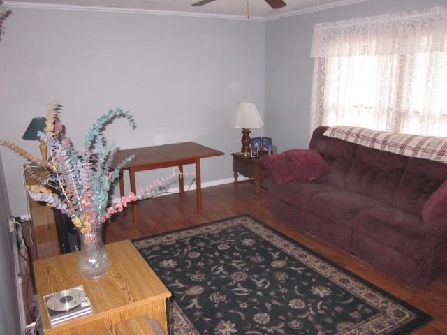 3709 Holiday St, Kokomo, IN 46902 photo 19