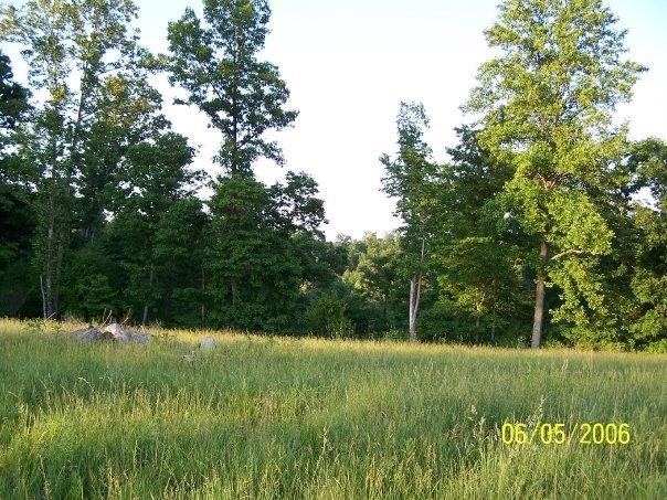8725 N Buskirk Rd, Gosport, IN 47433 photo 3