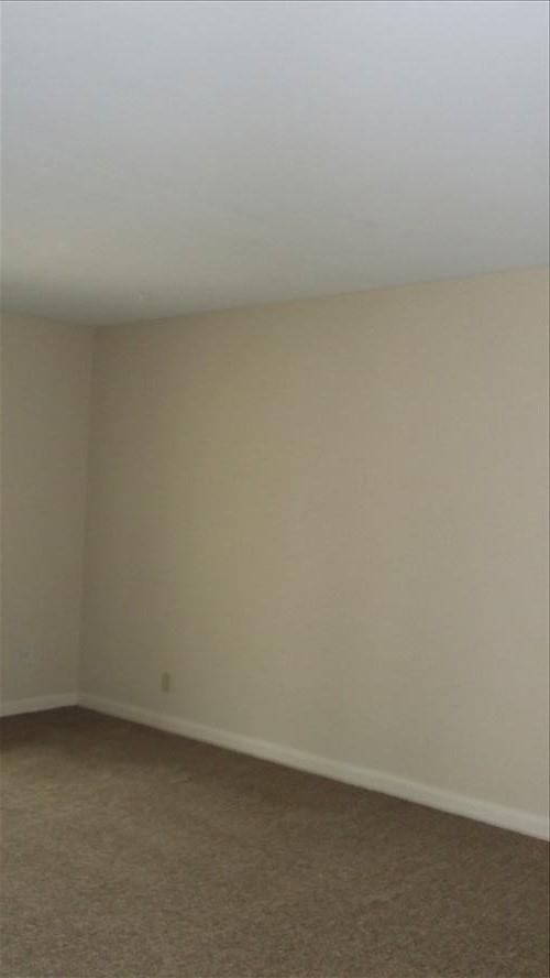 834 Senate Ave, Evansville, IN 47711 photo 4