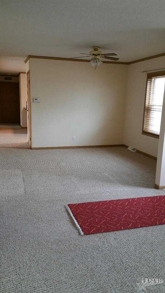 2472 E Baseline Rd, Churubusco, IN 46723 photo 20