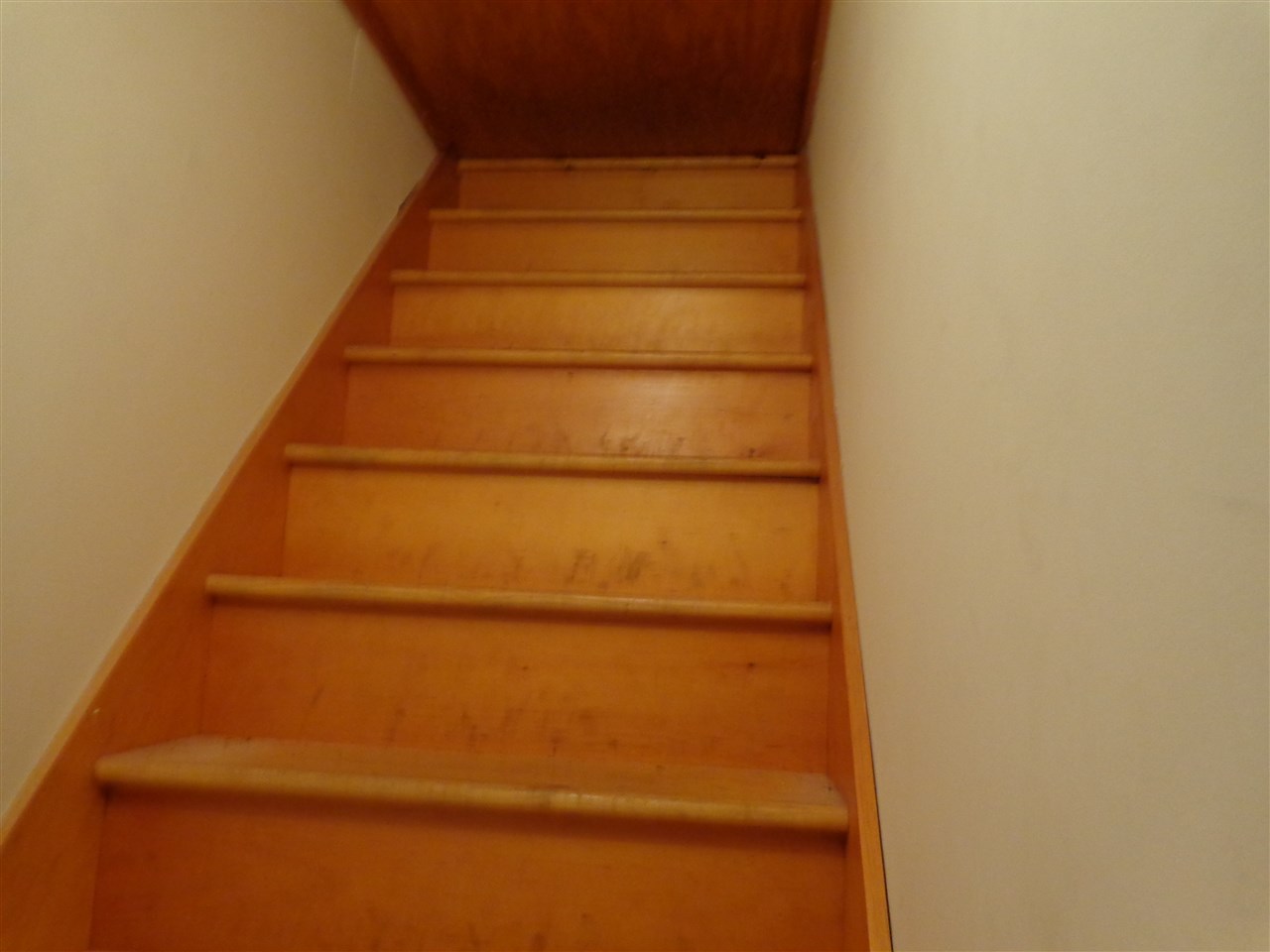 708 Snowfall Rd, Fort Wayne, IN 46819 photo 19