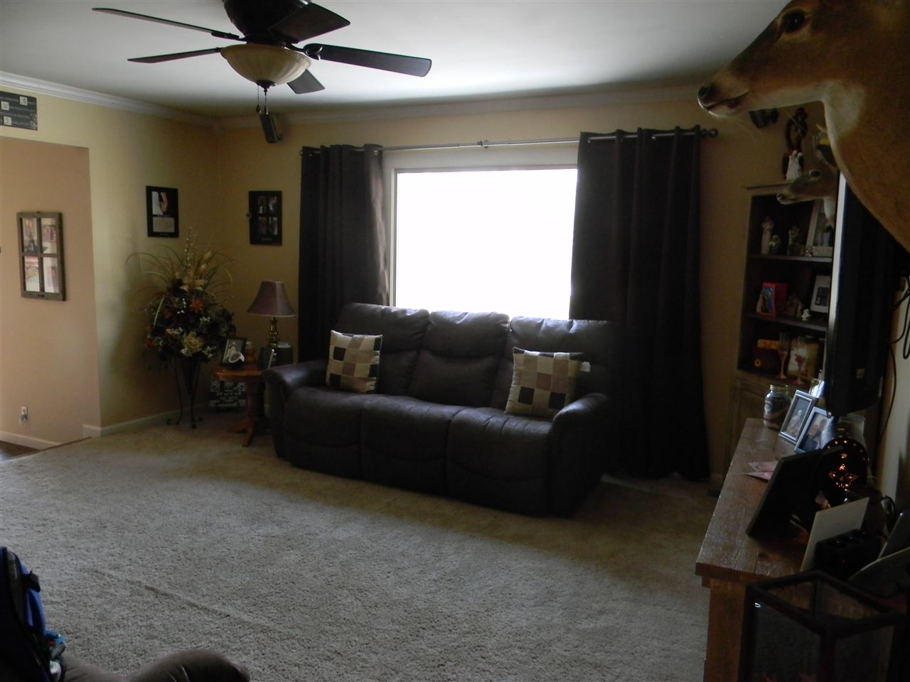 4505 Mayfield Dr, Kokomo, IN 46901 photo 3