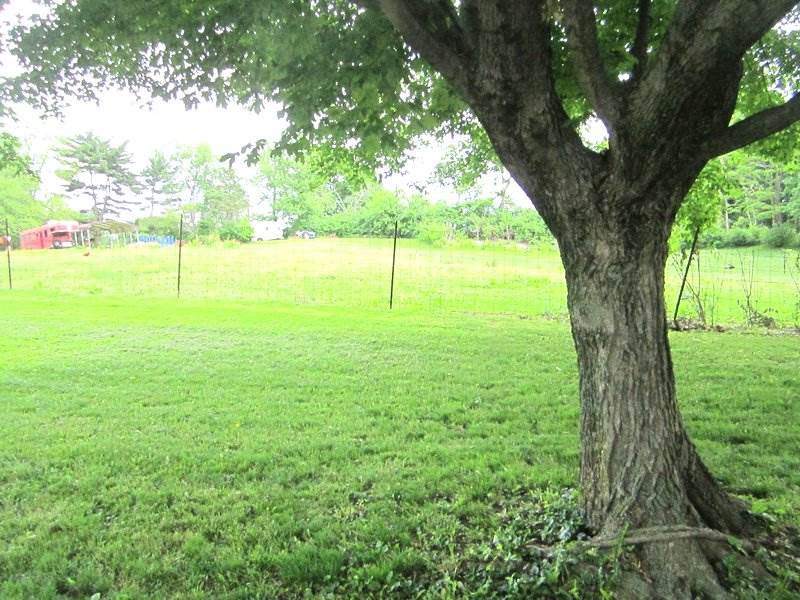 5399 N Knox Rd, Petersburg, IN 47567 photo 17