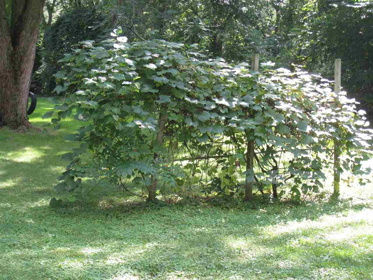 20099 Jewell Ave, South Bend, IN 46614 photo 26