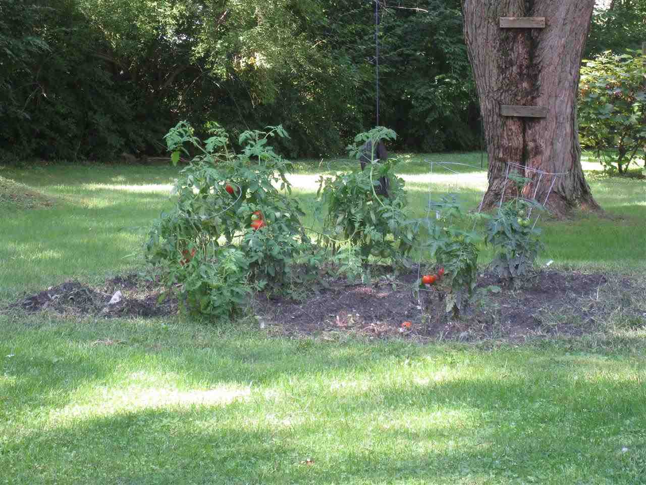 20099 Jewell Ave, South Bend, IN 46614 photo 29