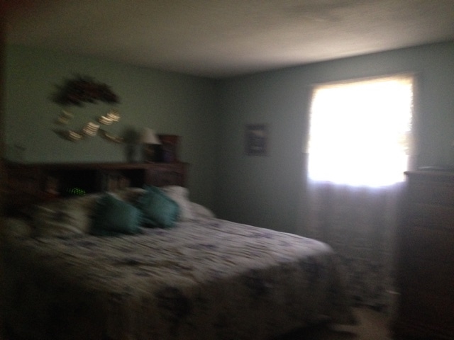 11676 N 300 E, Roanoke, IN 46783 photo 22