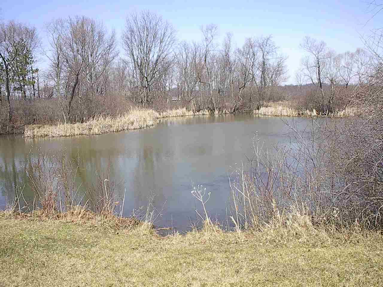 1845 County Road 18, Waterloo, IN 46793 photo 19