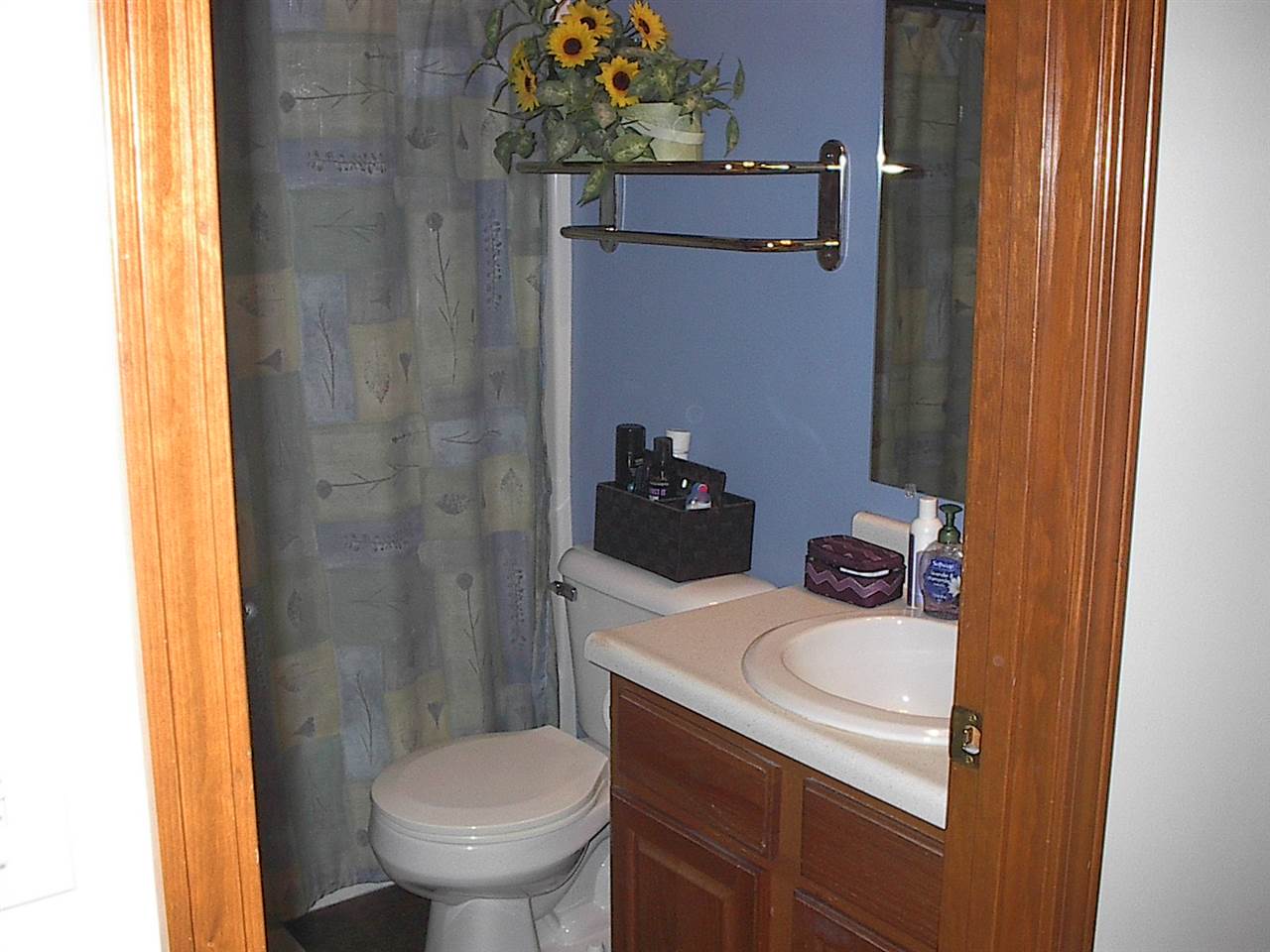 1845 County Road 18, Waterloo, IN 46793 photo 16