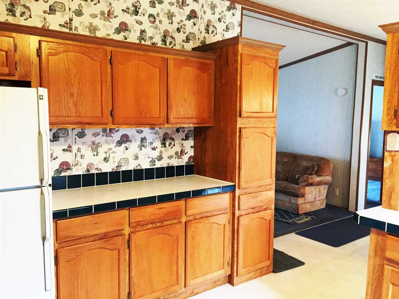 10910 W 475 S, Hudson, IN 46747 photo 11