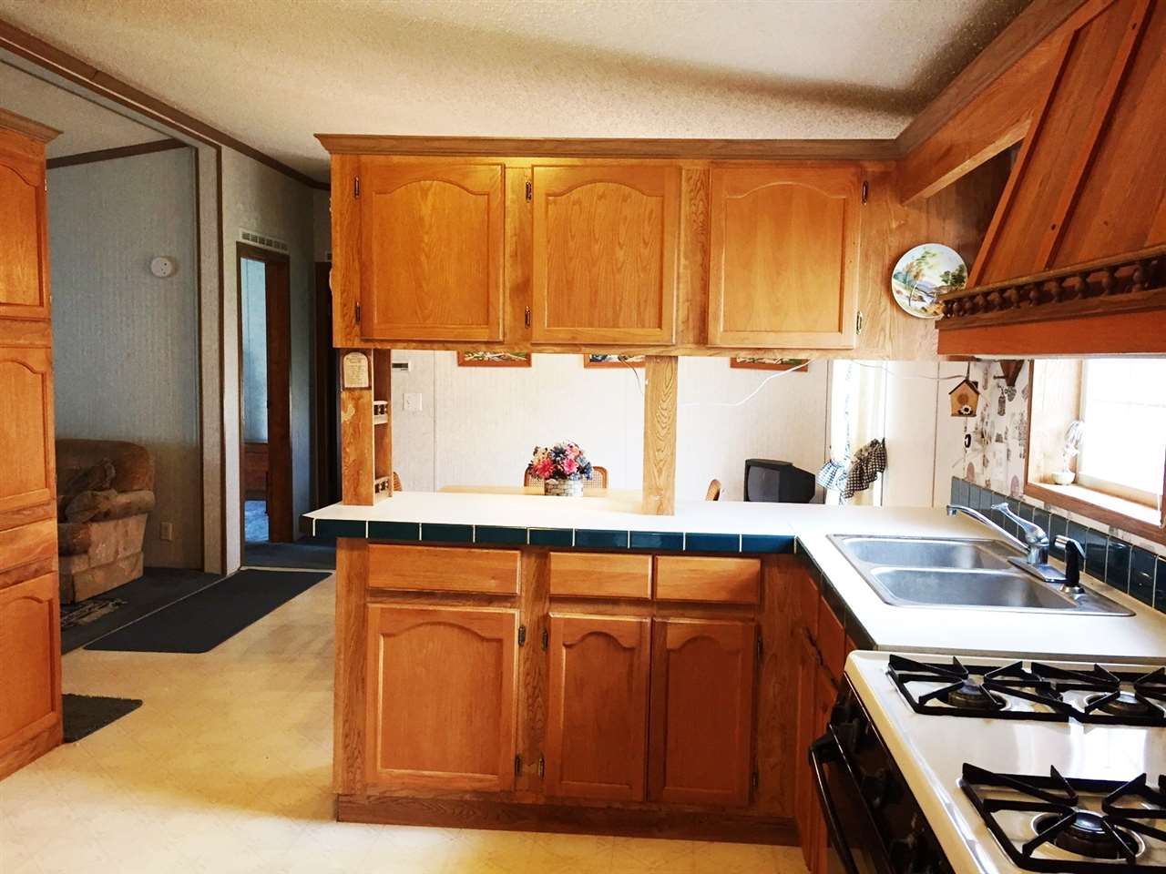 10910 W 475 S, Hudson, IN 46747 photo 12