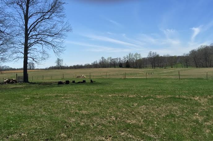 1763 N Pike Rd, Bedford, IN 47421 photo 29