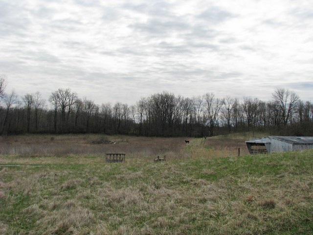 6479 E County Road 700 N, Mooreland, IN 47360 photo 15