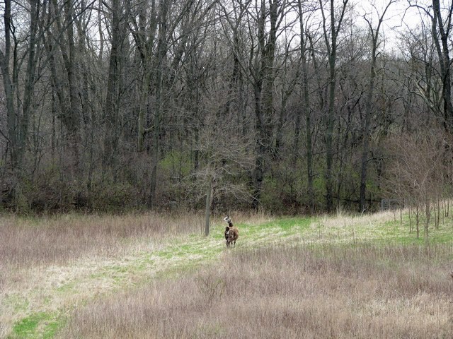 6479 E County Road 700 N, Mooreland, IN 47360 photo 14