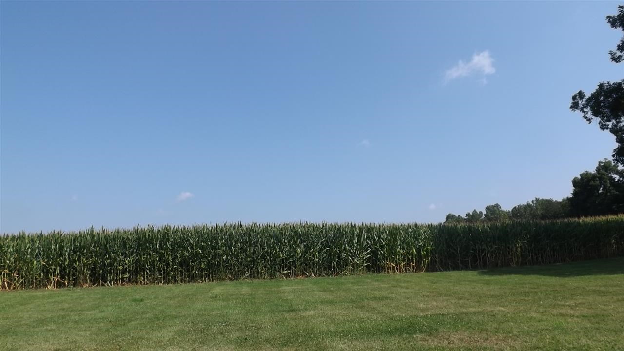 10017 N 1000 E, Otterbein, IN 47970 photo 22
