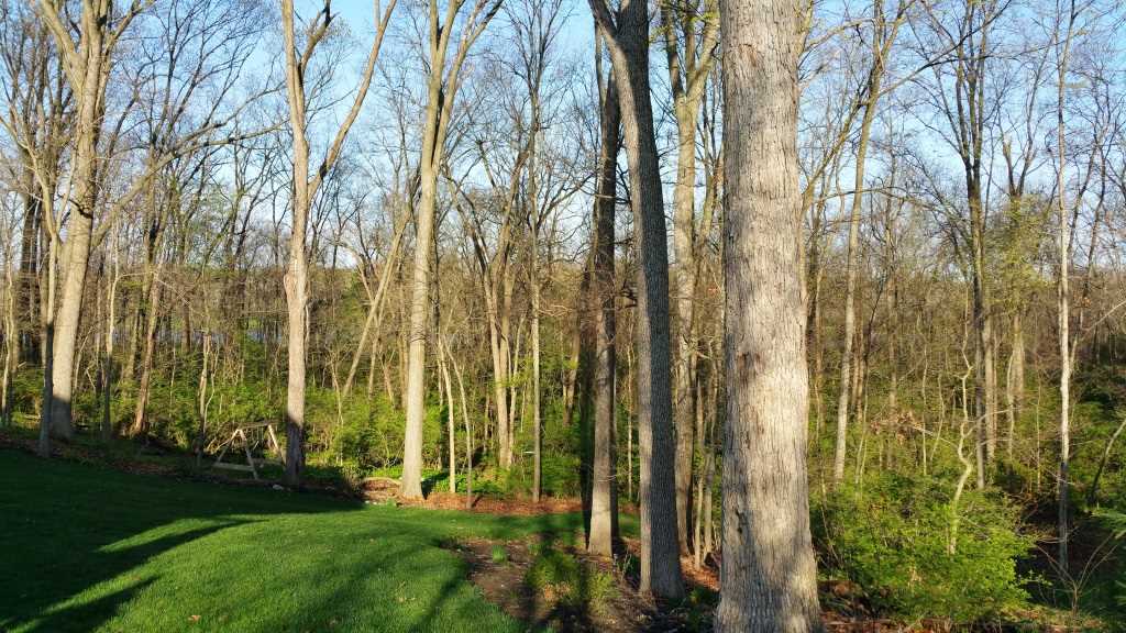 4454 W Admirals Pointe Dr, Lafayette, IN 47909 photo 30