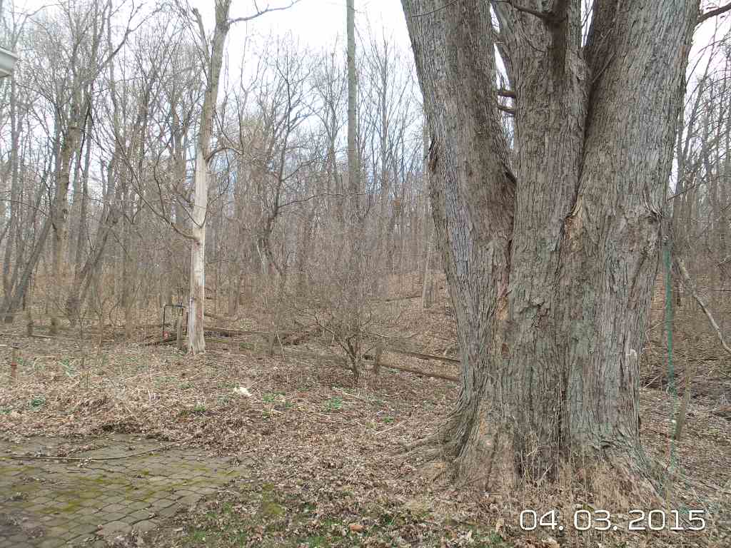 951 S 750 E, Lafayette, IN 47905 photo 4
