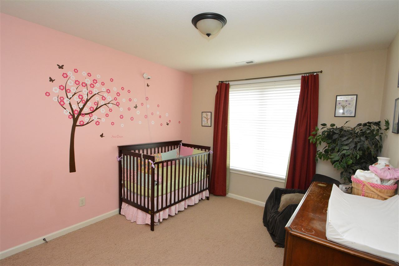 917 Mannes Pine Cv, Fort Wayne, IN 46814 photo 14
