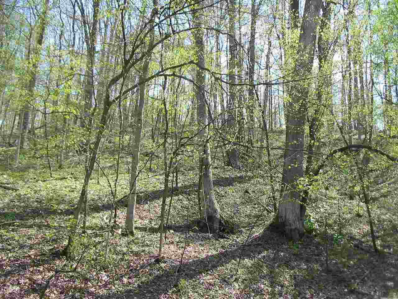 3360 E Lanam Rd, Bloomington, IN 47408 photo 8