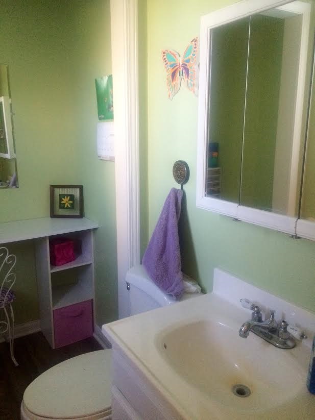 10365 N 100 E, Ossian, IN 46777 photo 19