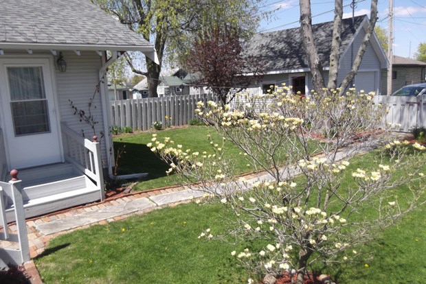 320 E Washington St, Dunkirk, IN 47336 photo 14