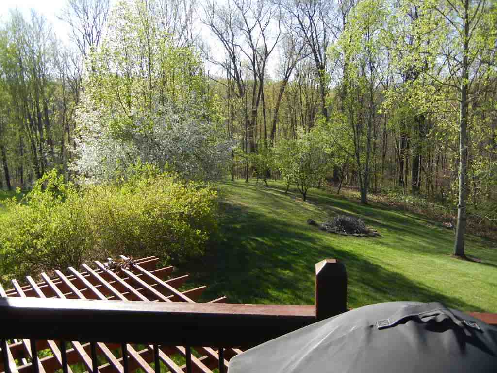 1676 E Cider Ct, Bloomington, IN 47408 photo 4